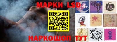 гидра Будённовск