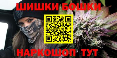 гидра Будённовск