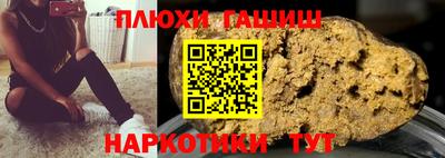 гидра Будённовск